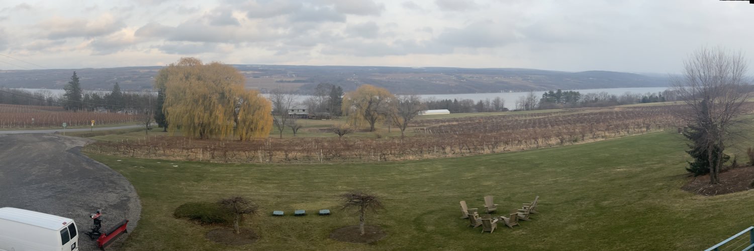 Basketball 40 banner