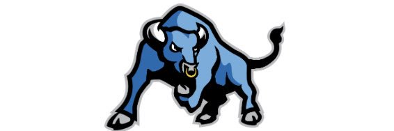 BlueBullsFC's profile banner image