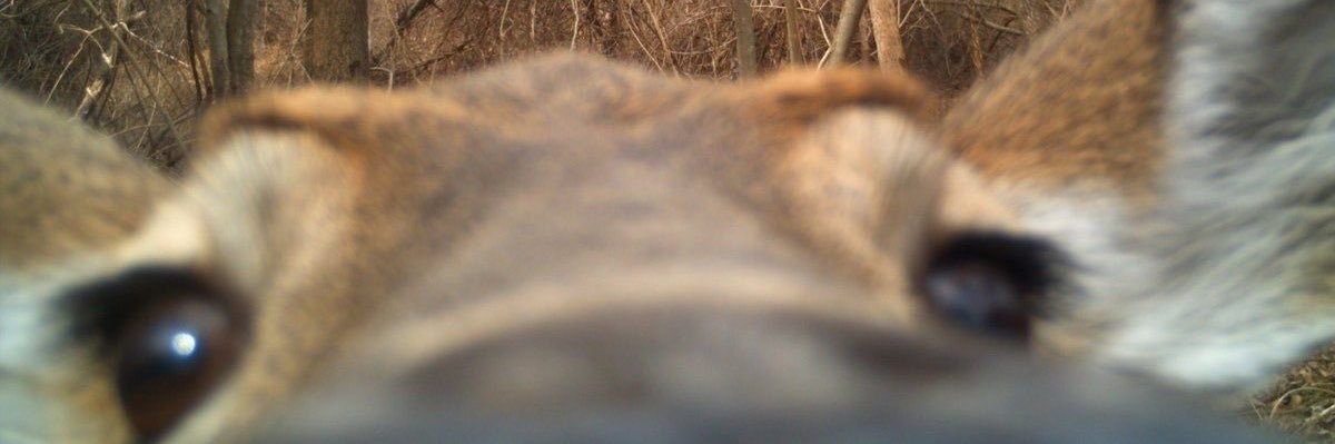 Rocio Martin banner