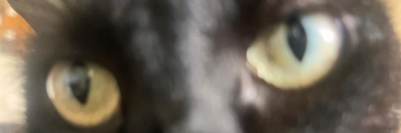 Pipecomoes's profile banner image
