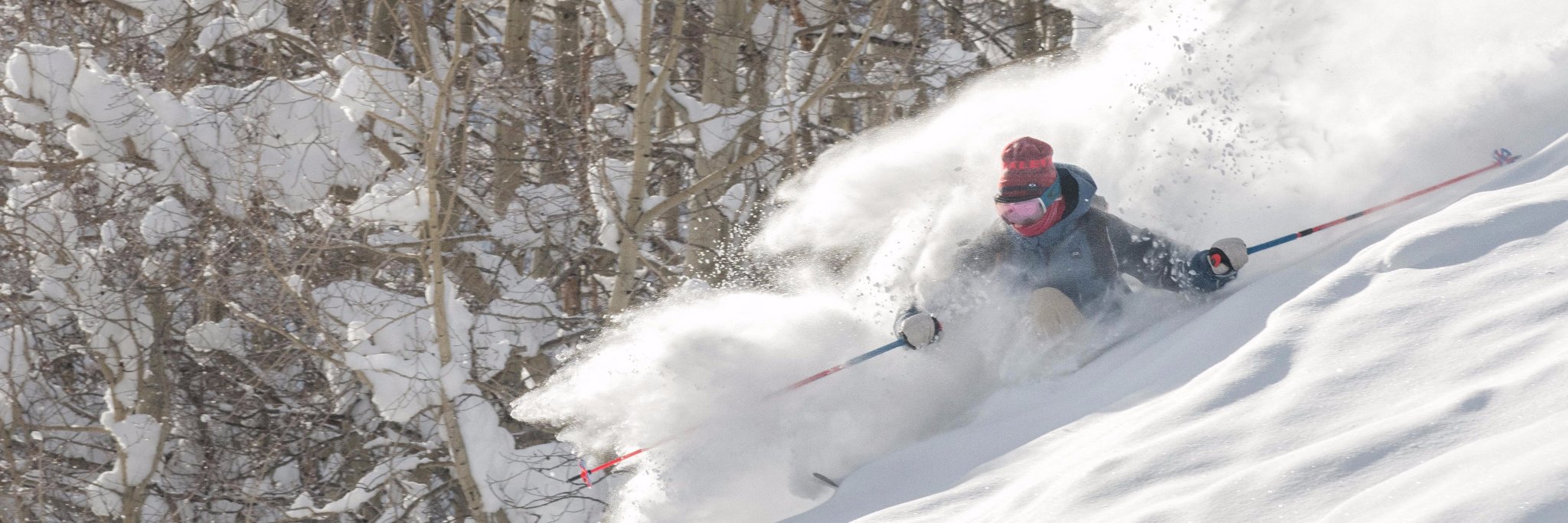 Wagner Custom Skis banner