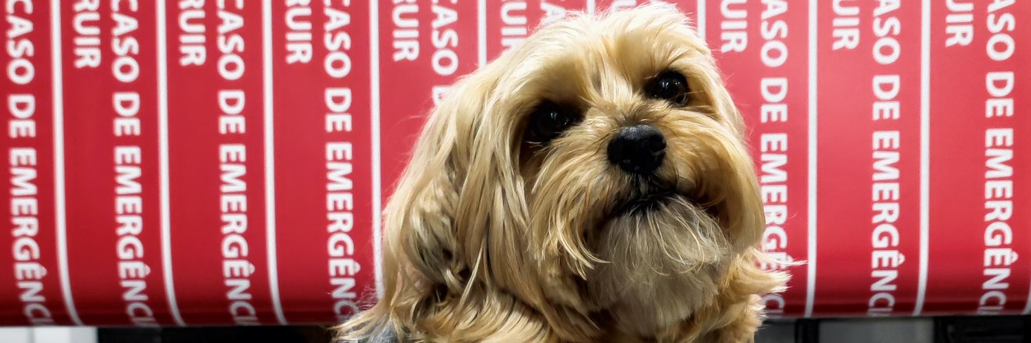 Printing in to the void 🇵🇹🇪🇺🇺🇦🇵🇸🇬🇪 banner