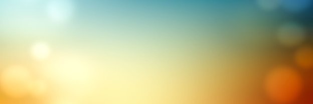 UF Faculty Senate banner