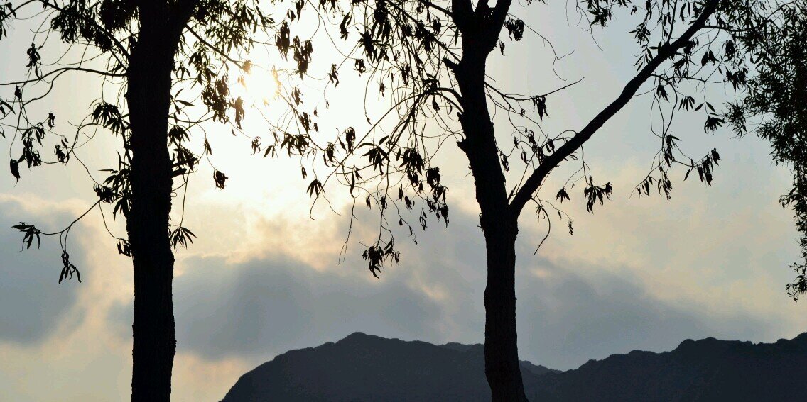 FatimaYR2's profile banner image