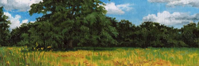 hread's profile banner image