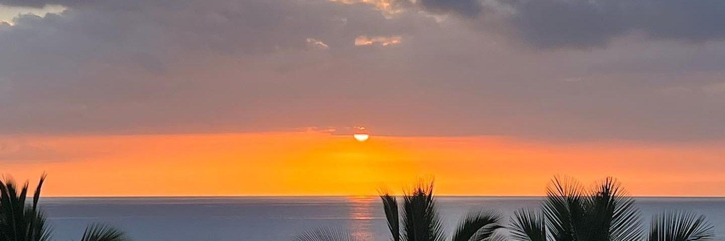 ✈️Blackpink Trade Sell banner