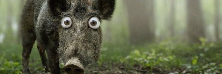 samueisburros's profile banner image