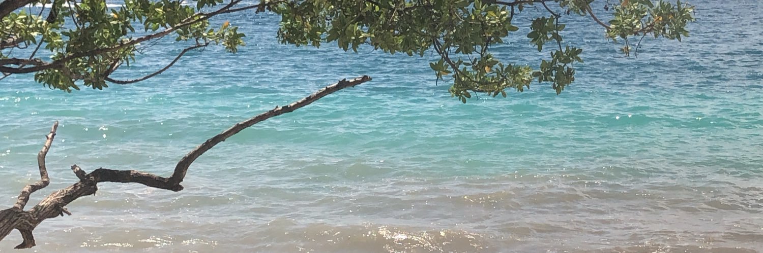 Monnahay's profile banner image