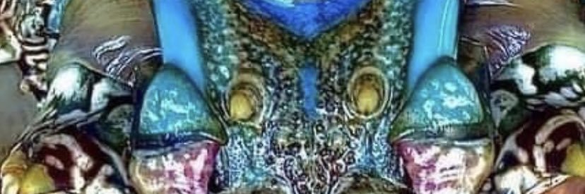 igor_riggs's profile banner image