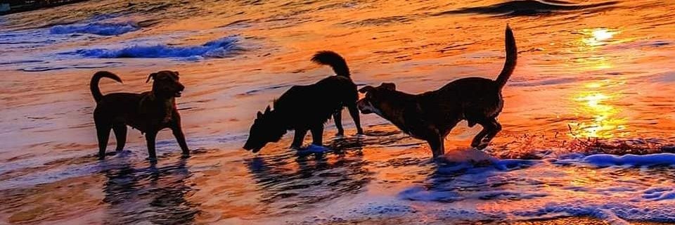 chrislaberinto's profile banner image