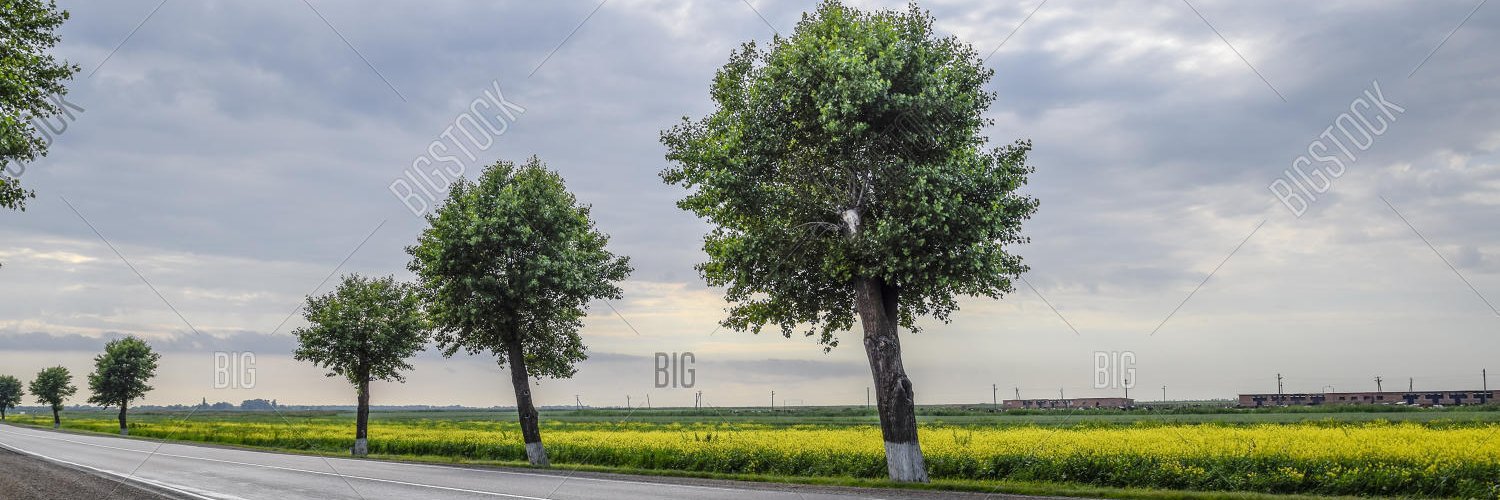 Bargan Flambey banner