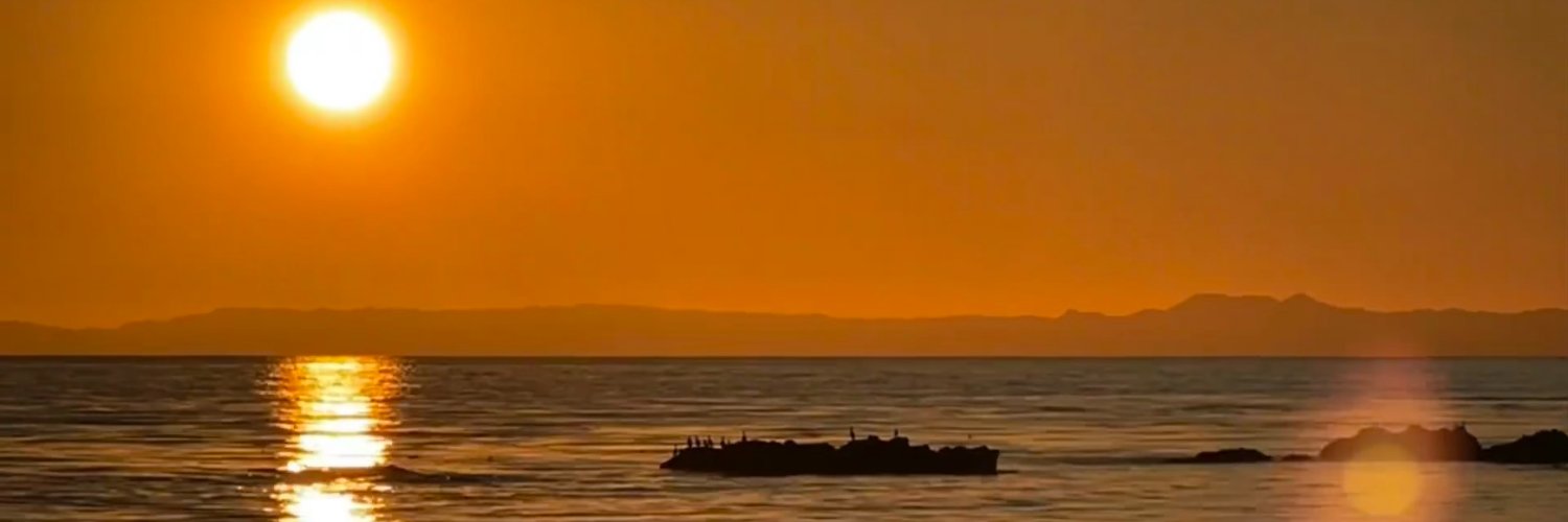 Sofie3231's profile banner image