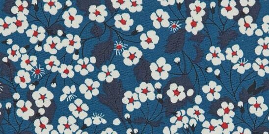 Robyn Richards banner