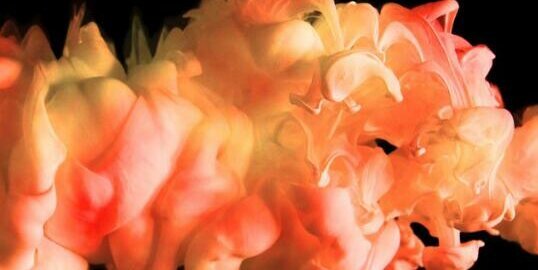 matitofonseca's profile banner image