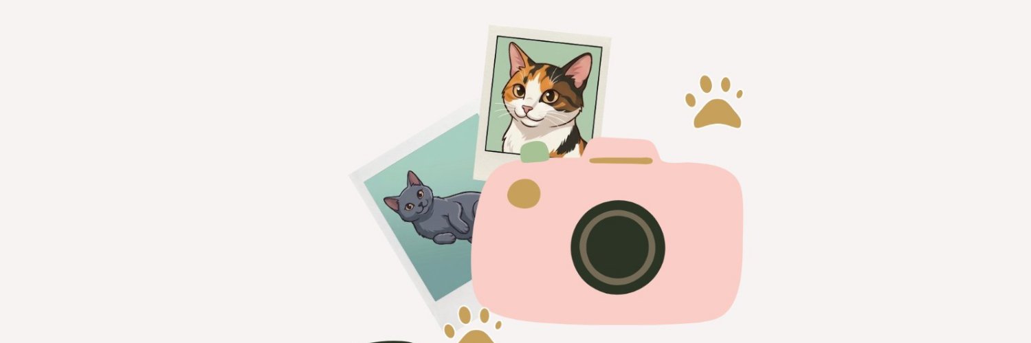 snapprints1's profile banner image