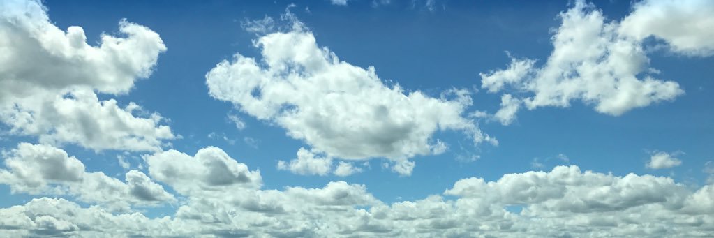 madibble418's profile banner image