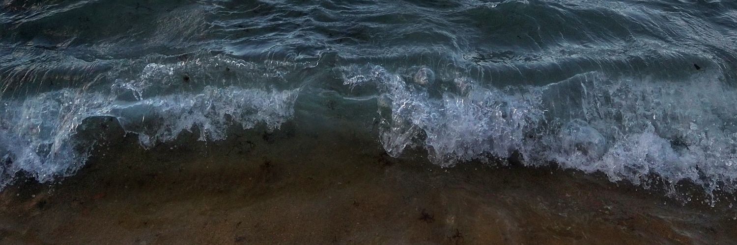 murderanne's profile banner image
