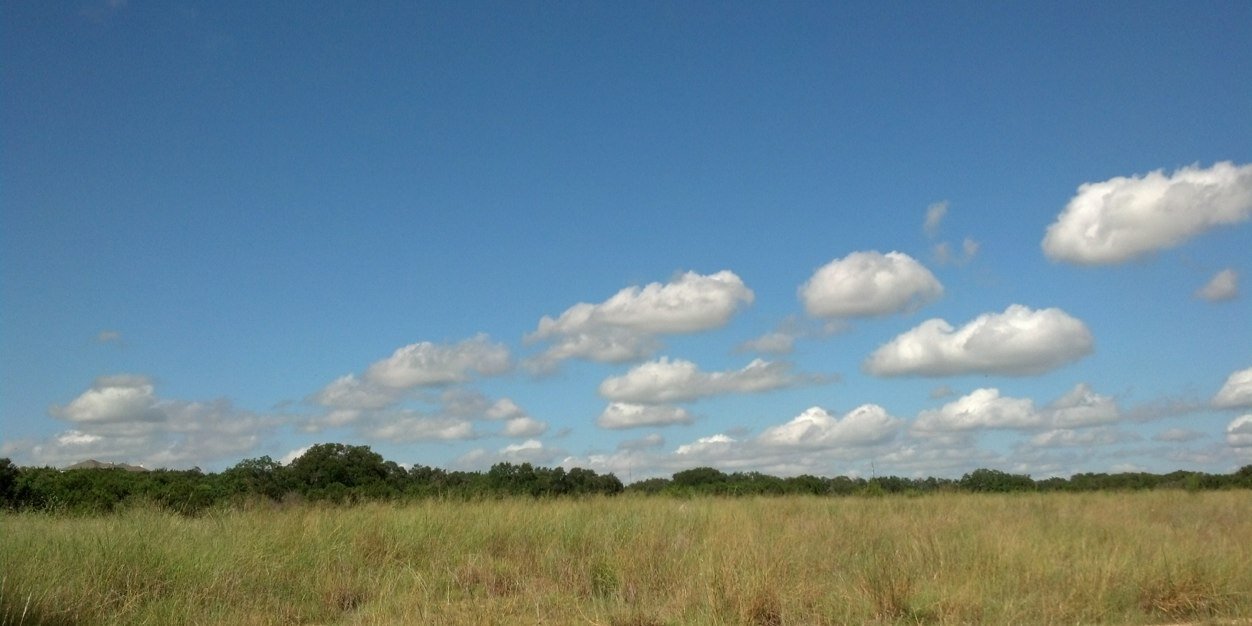 Amy Whitehead banner