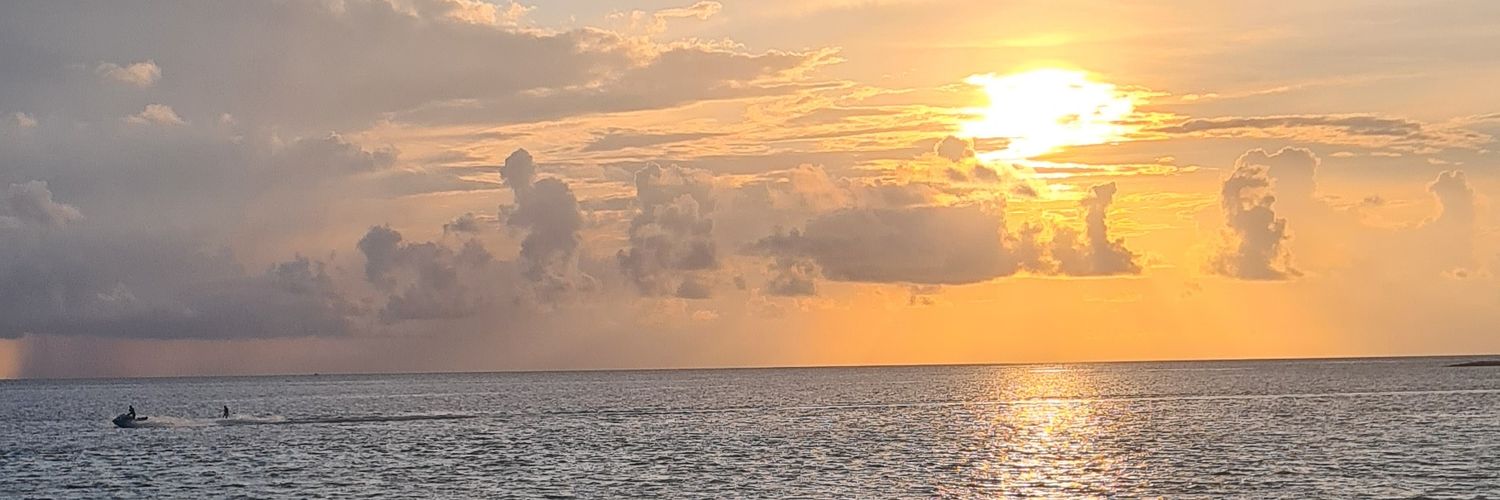 Busirius's profile banner image