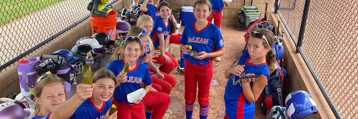 McLean Little League banner