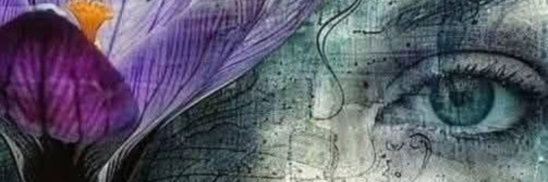 Leda139's profile banner image