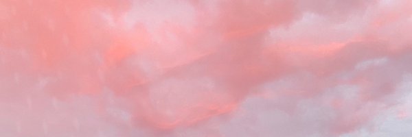 little_lj Profile Banner