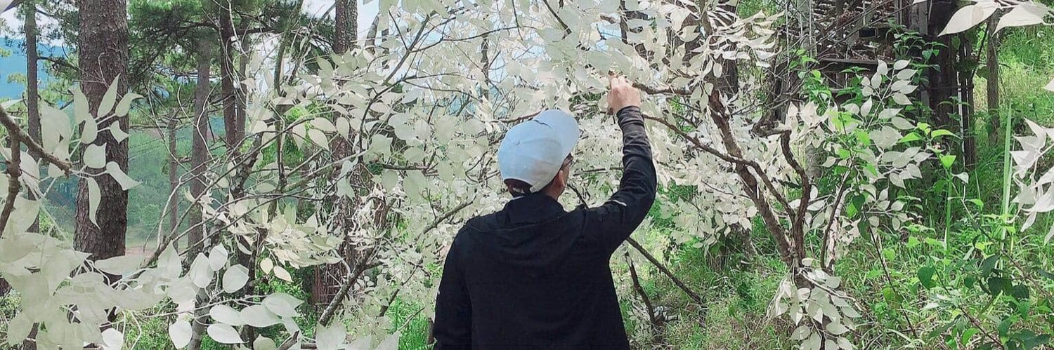 Sang8Dam's profile banner image