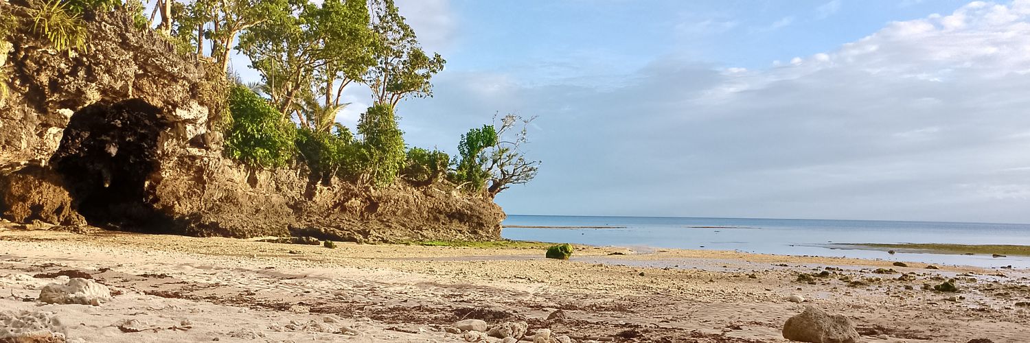 bg0y banner