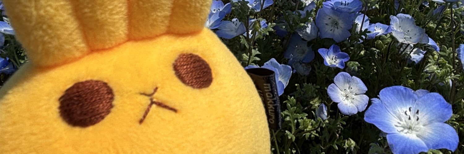 krt_xx's profile banner image