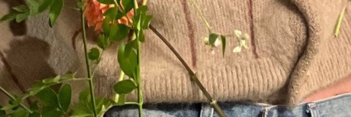 juneeery's profile banner image