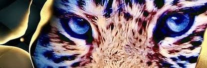 Panky Sharma banner