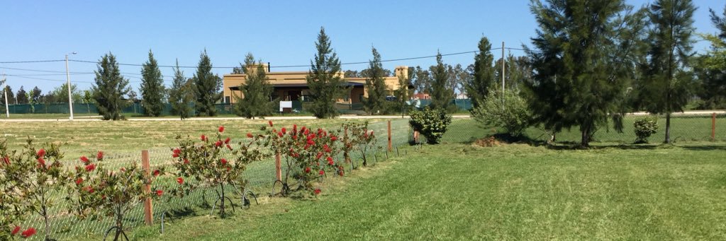 Martín Fernández banner