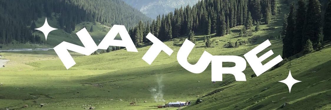 🌻 banner