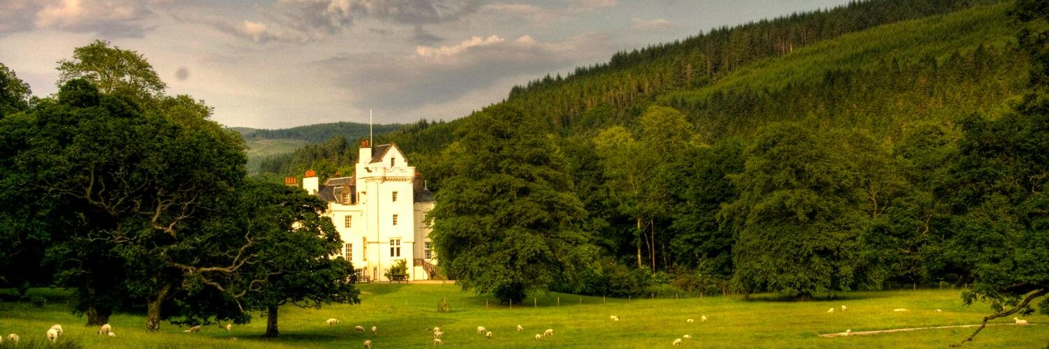 castleLachlan's profile banner image