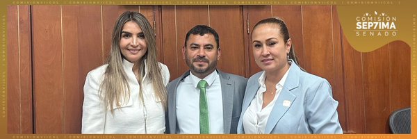 ComisionVIICol Profile Banner