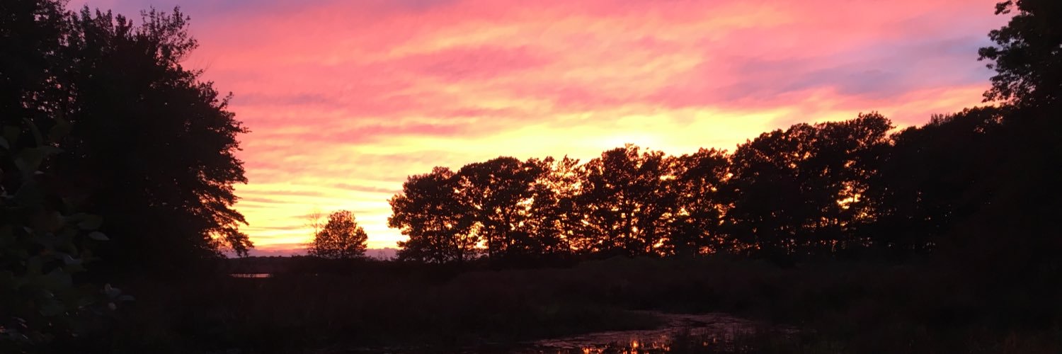 KaleighMcCarthy's profile banner image