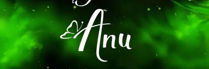 Rockstaranu143's profile banner image