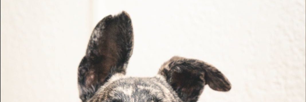 Emiherbst's profile banner image