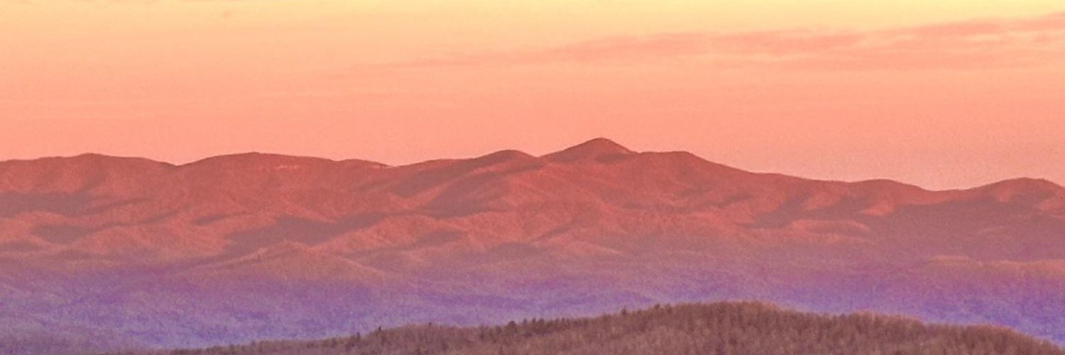 🦑🎀Pink Platypus🌸🌺 MERF banner