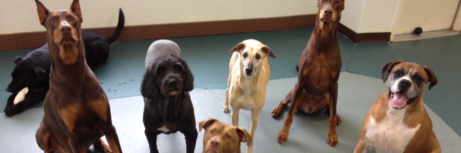 EprPets's profile banner image