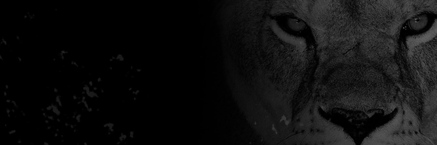brunamottaaa's profile banner image