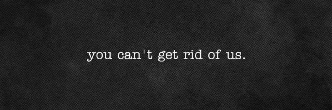 KCiHashSol 🍃 banner