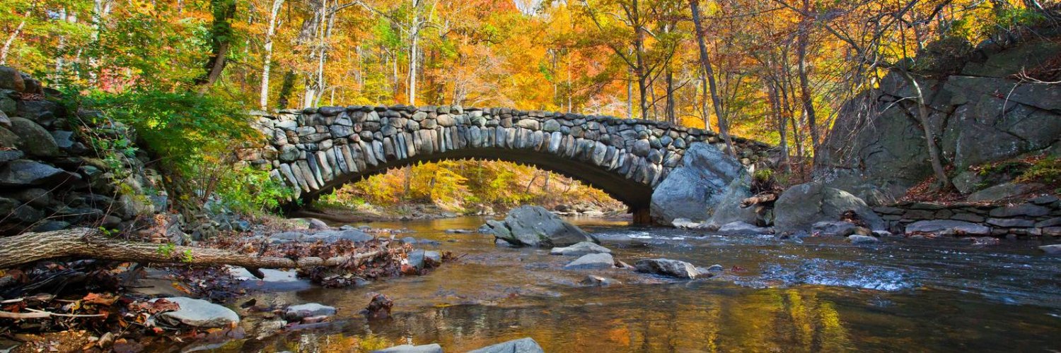 Kimberly L. Jones banner