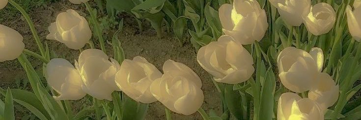 💚 banner