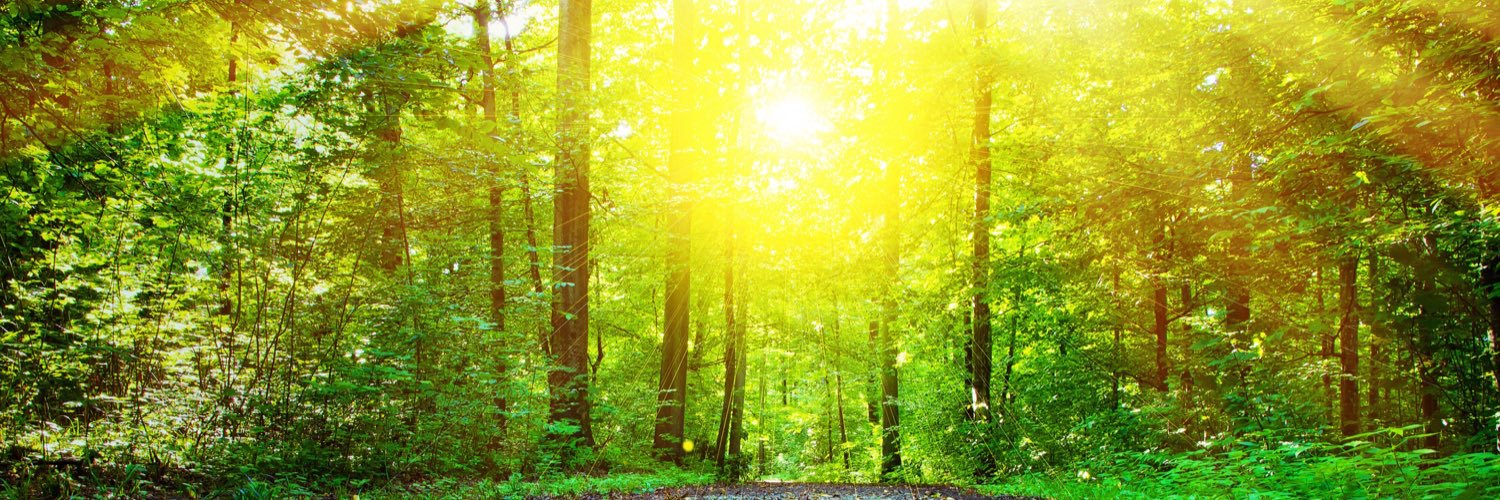 SolarTradex banner