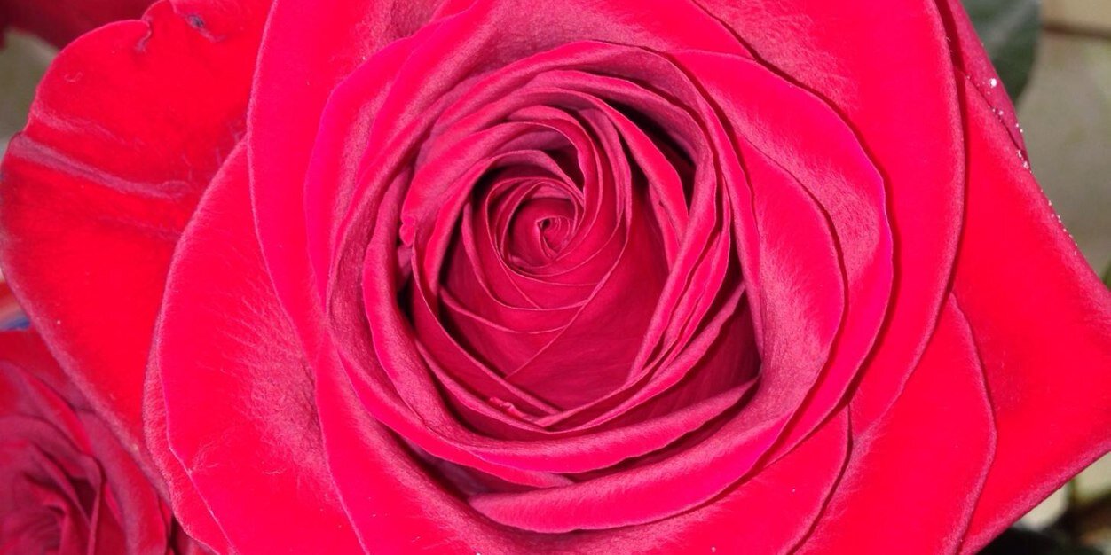 kellysongz31's profile banner image