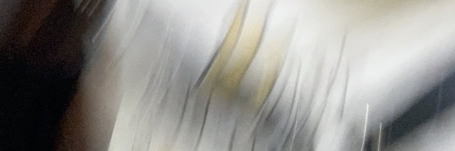zeeuisme banner