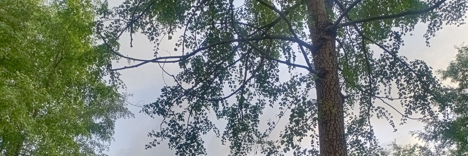 yrawat27's profile banner image