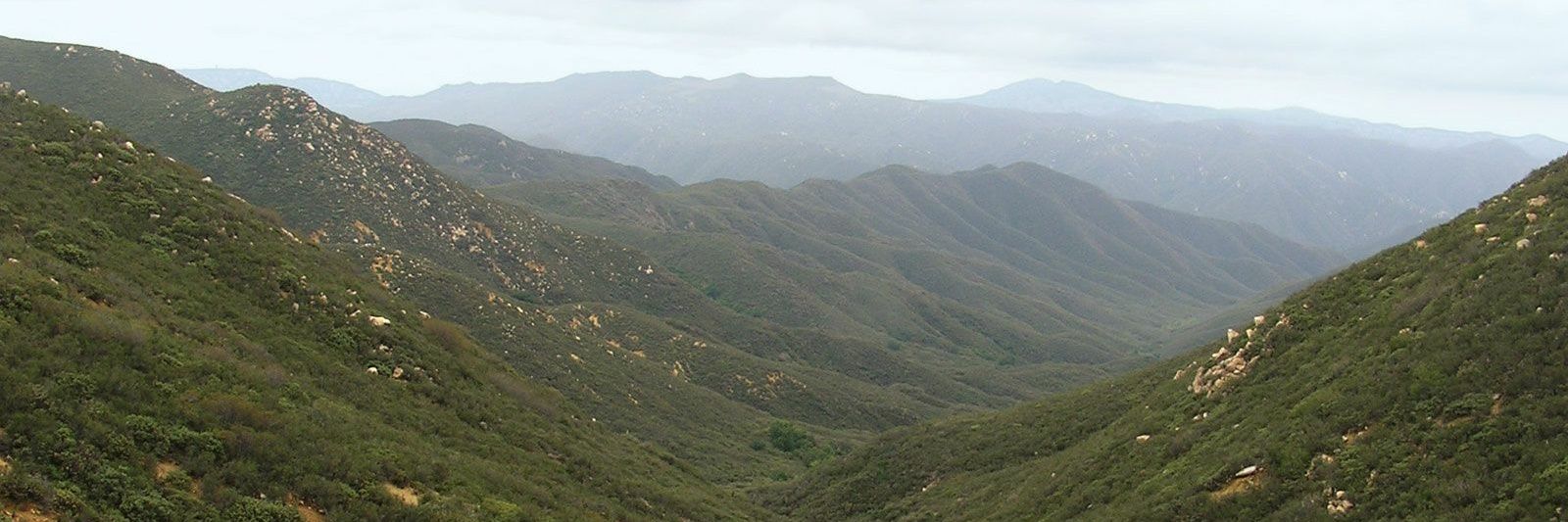 AbrahamJankans's profile banner image