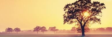 The exploited Nation banner